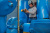 Тепловизор Fluke TiX501 9Гц в каталоге приборов Setek Technology